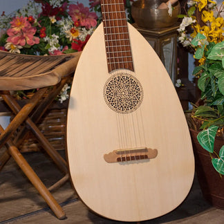 Roosebeck 6-String Lute-Guitar - Variegated Finish – Lark in the Morning