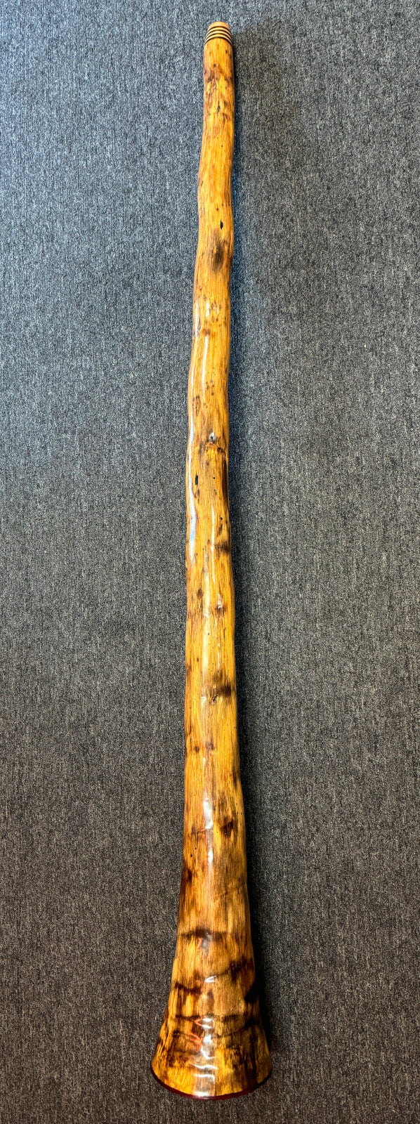 Agave Didgeridoo by Geoff Frost Didgeridoos Lark in the Morning   