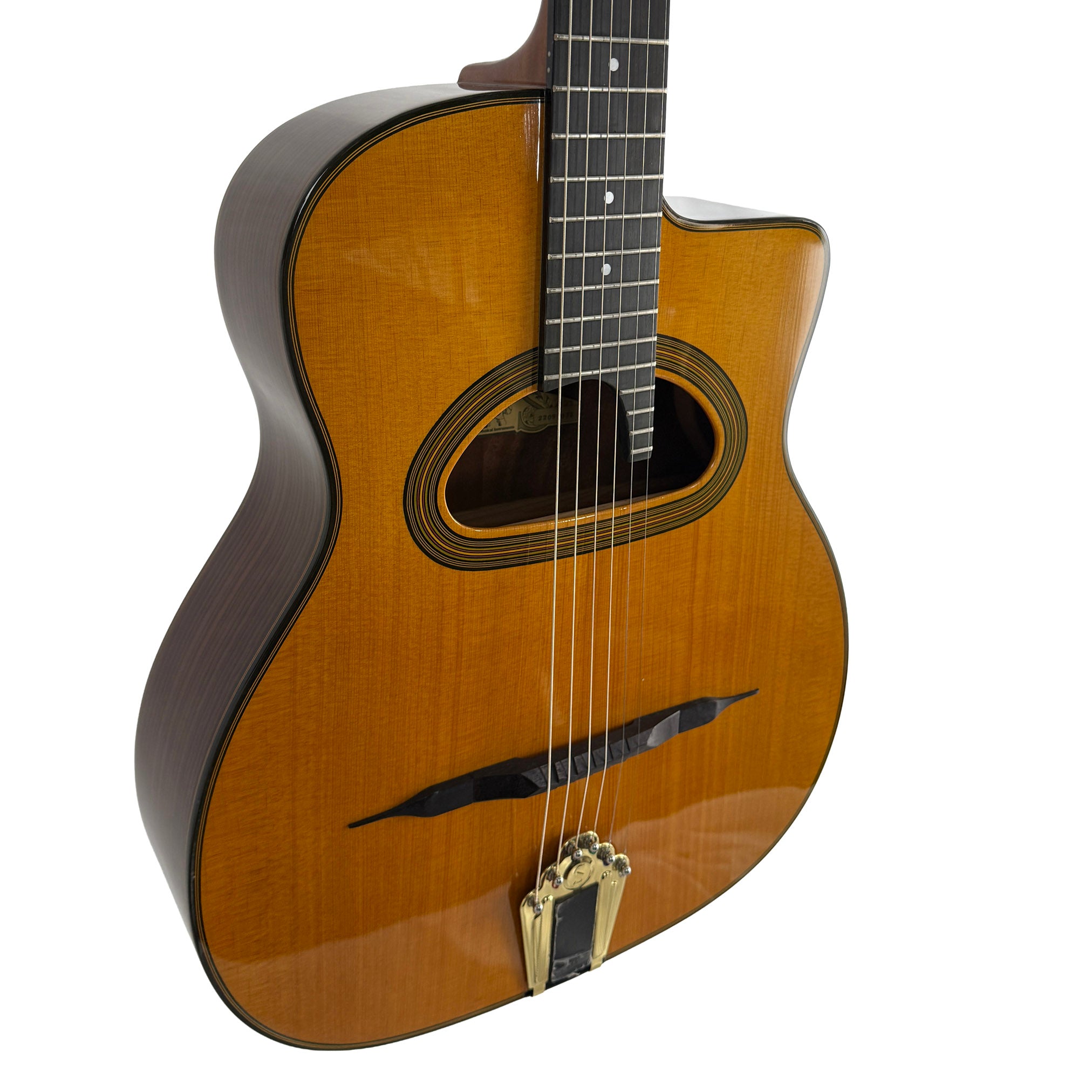 Gitane Gypsy Jazz Guitar: D-500 D Hole (Blemished) – Lark in the