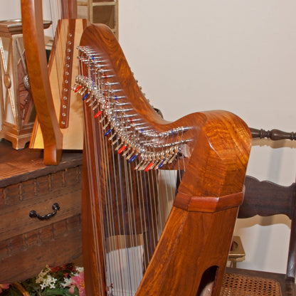Roosebeck Minstrel Harp 29-String, Chelby Levers Sheesham 5 Panel With Pedestal