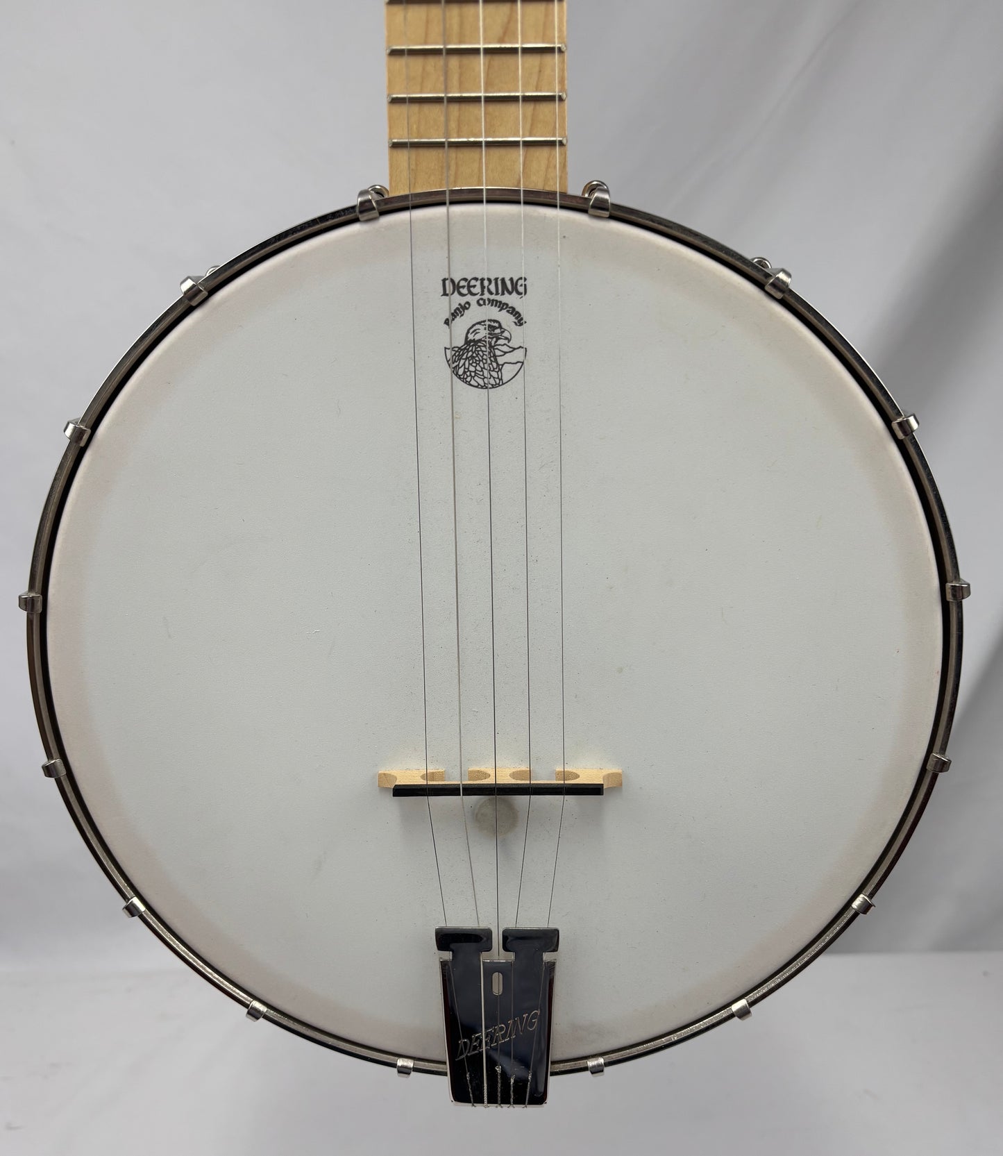 Goodtime Acoustic/Electric 5-String Banjo (pre-owned)