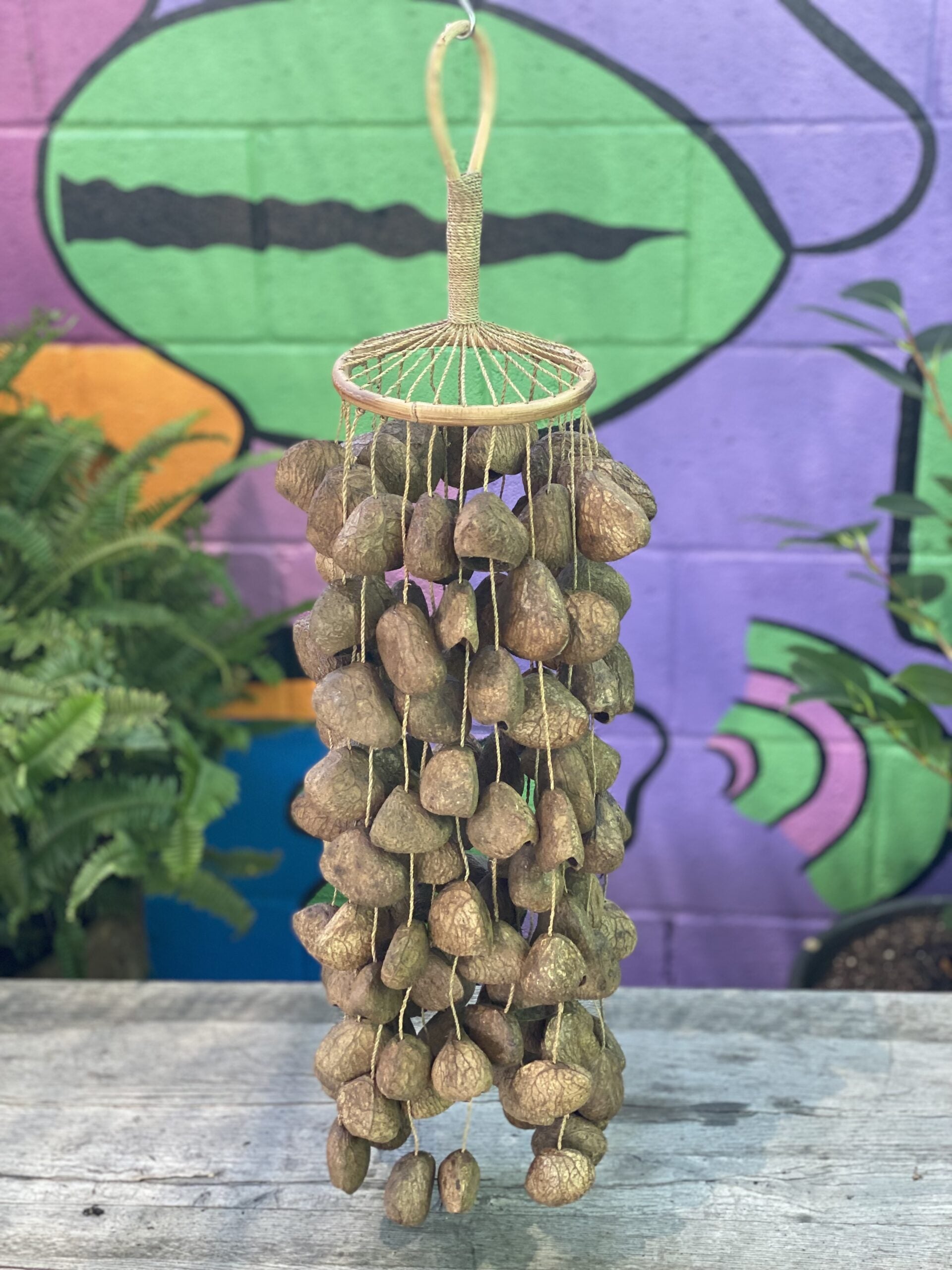Seed Rope Plant Rope Kluwak Seed Rope Loop Shaker - Lark in the Morning