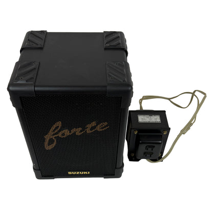 Suzuki Electric Taishogoto, TES-101, Mint