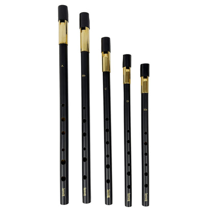 Pennywhistle, Nickel Body, Brass Head, A 