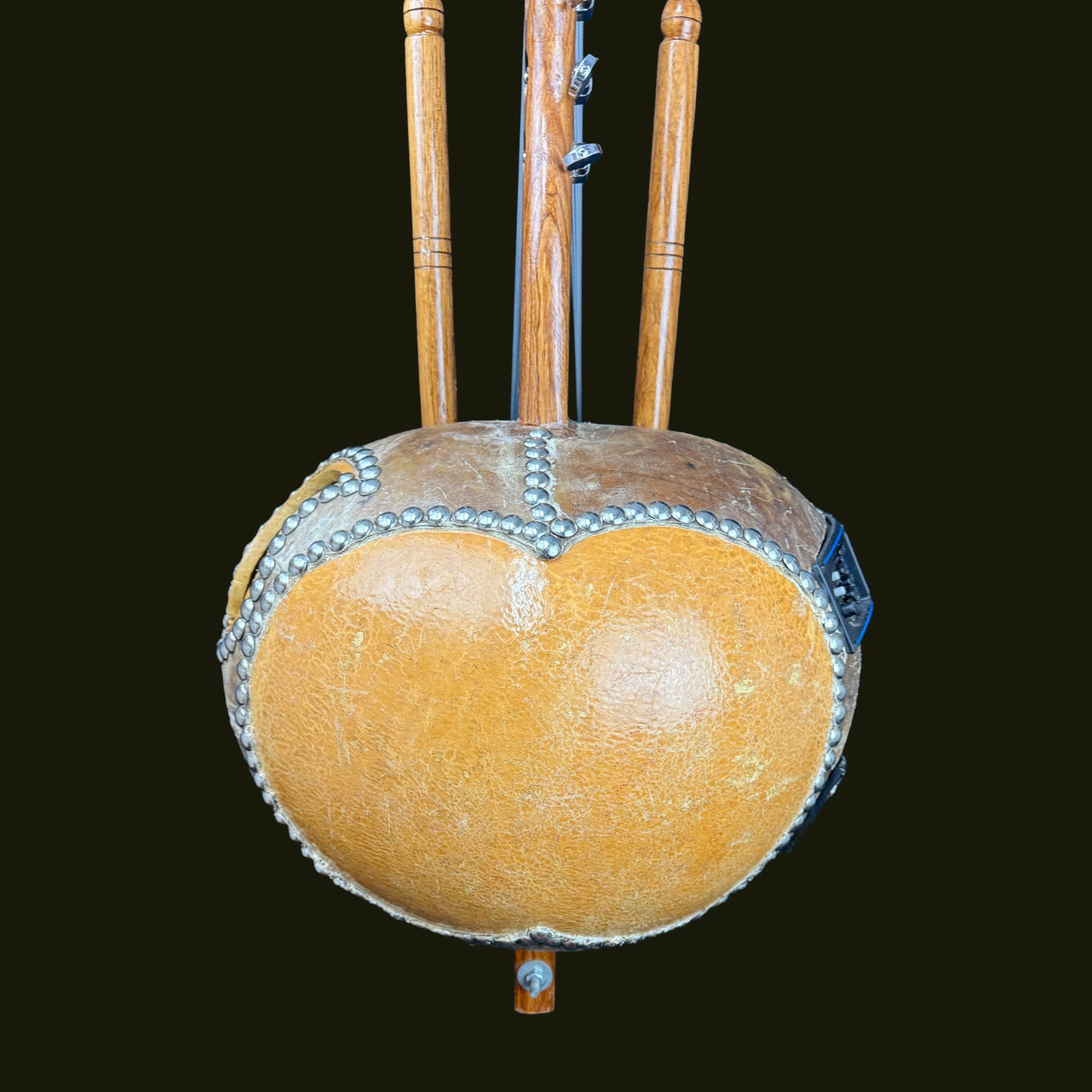 Deluxe Kora, with pickup