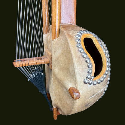Deluxe Kora, with pickup
