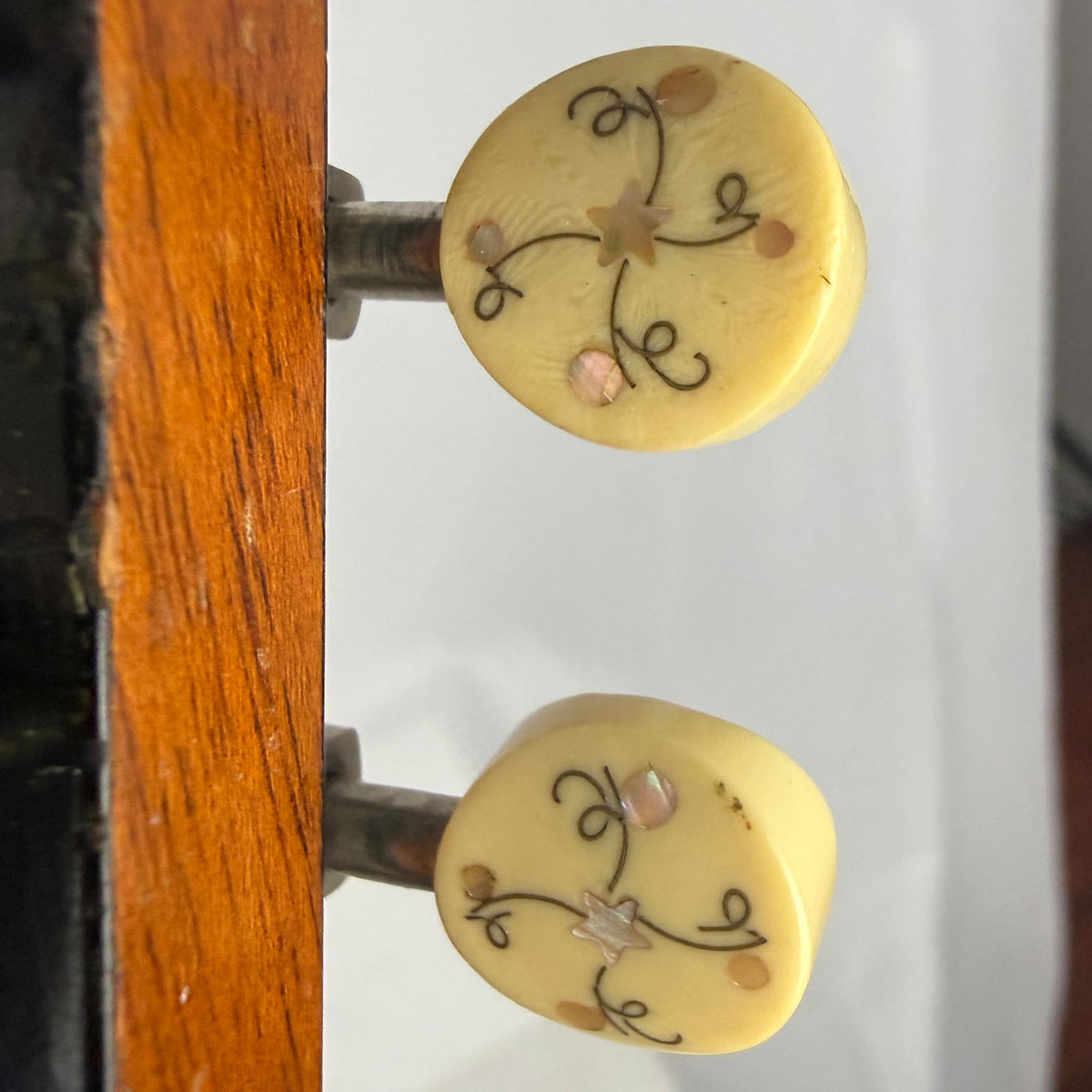 Gibson H2 Mandola, c. 1913 