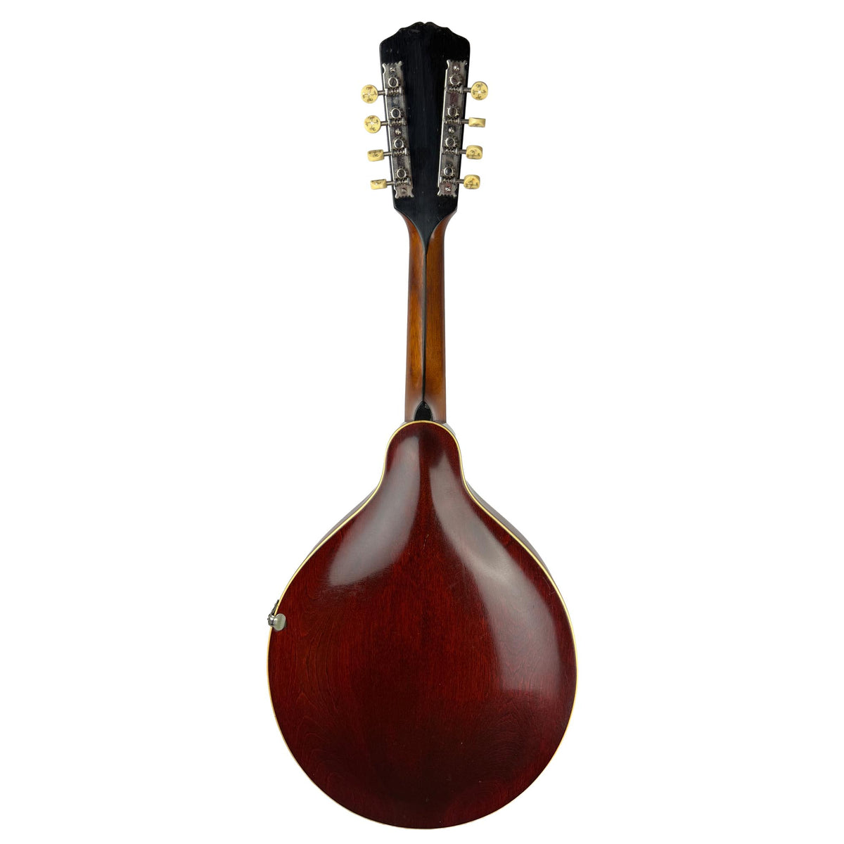 Gibson H2 Mandola, c. 1913 