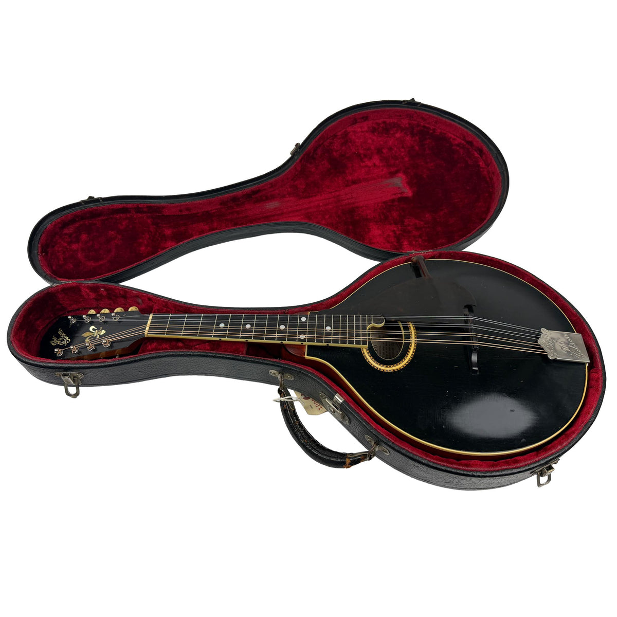 Gibson H2 Mandola, c. 1913 