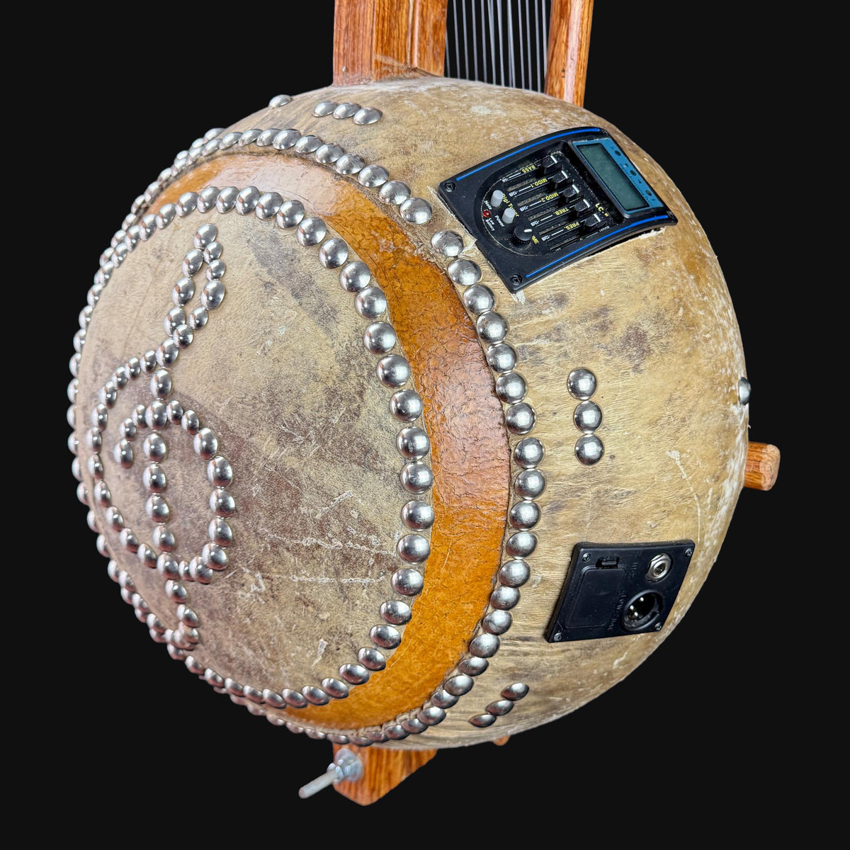 Deluxe Kora, with pickup 