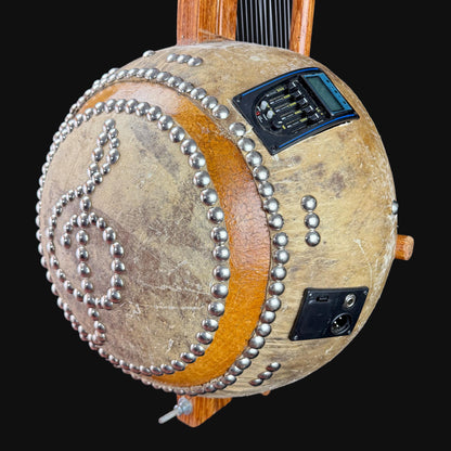 Deluxe Kora, with pickup 