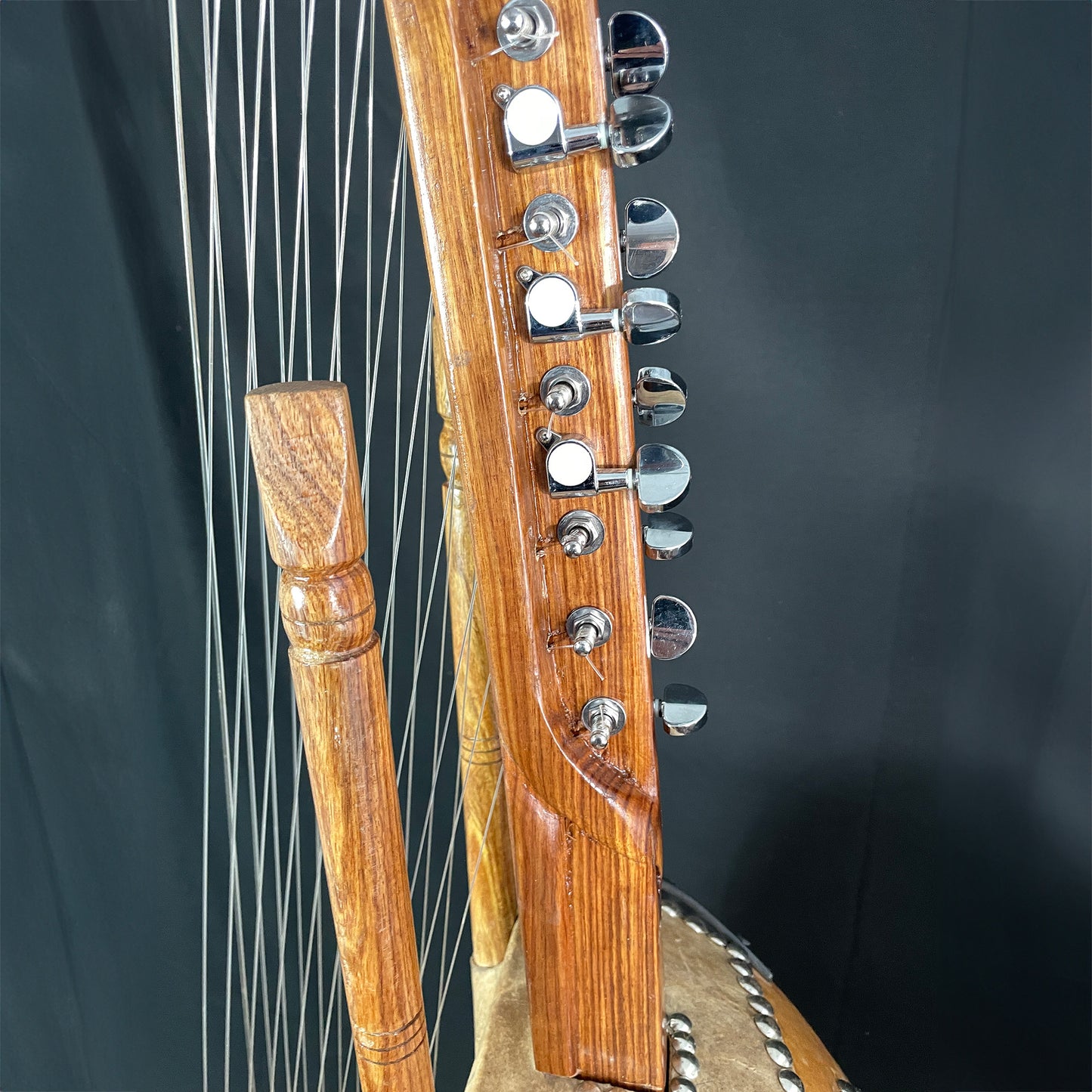 Deluxe Kora, with pickup