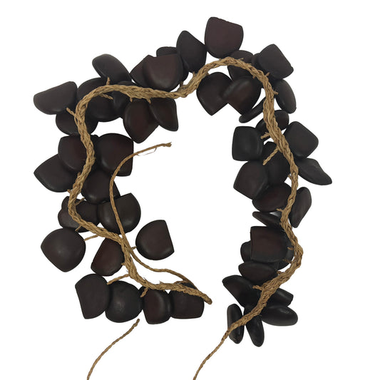 Entada (African Dream Herb) Seed Belt Shaker, Large