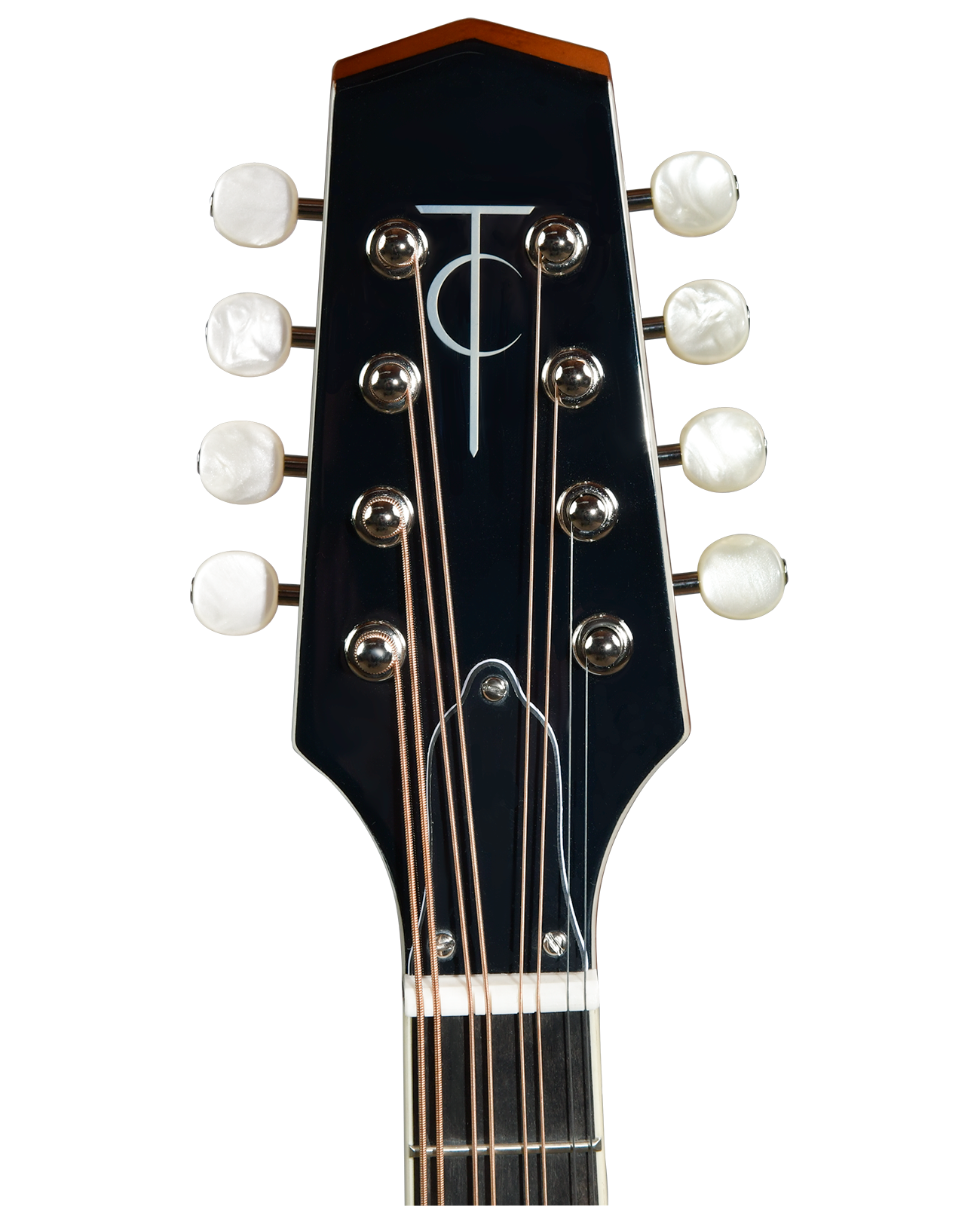 Shinodan タンクエトレ アメリスタニングルシェル Trinity College TM-250 Standard Celtic Mandolin – Natural Top