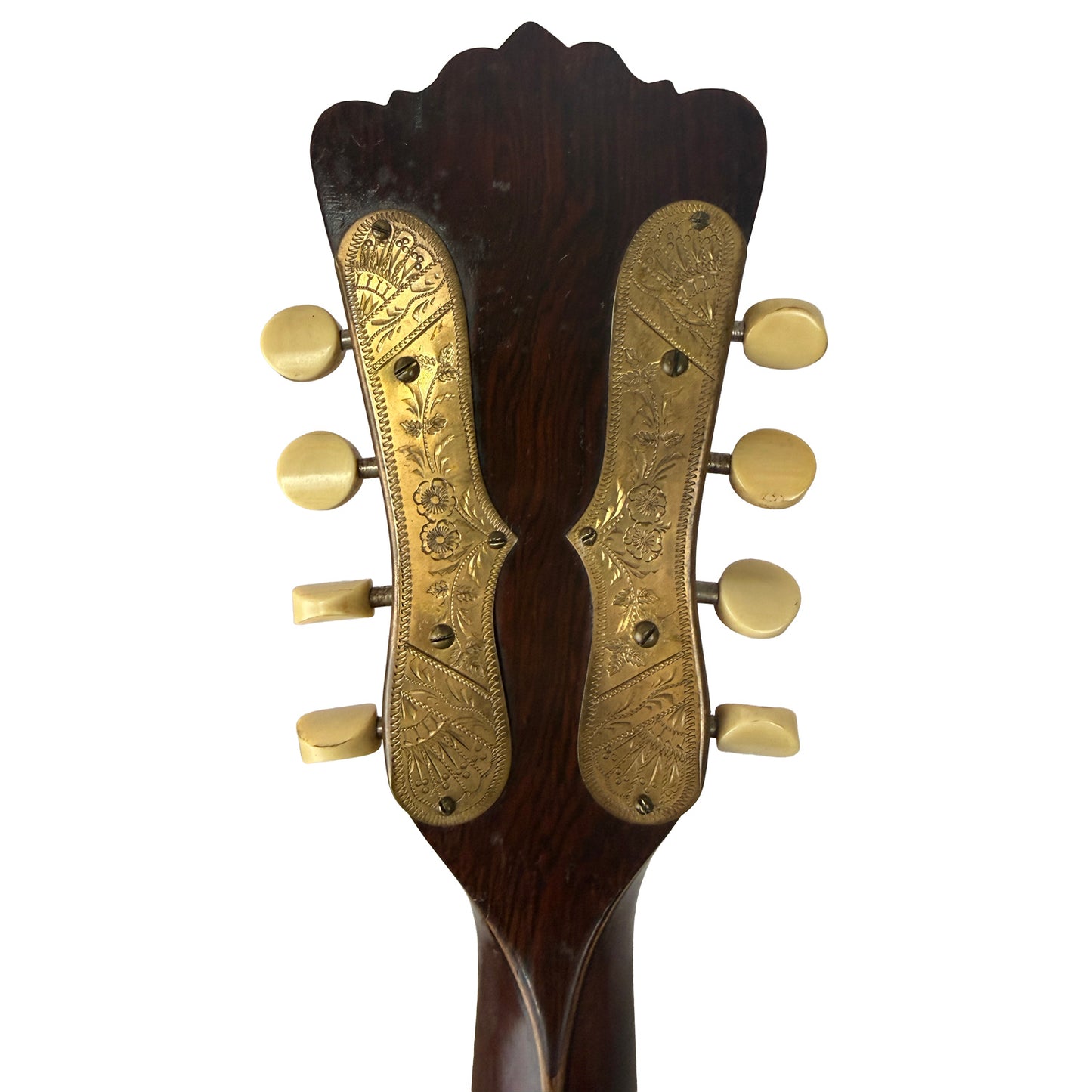 Acme Special Bowl Back Mandolin Late 1800s Stewart & Bauer