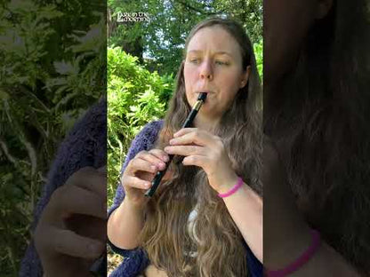 Lark in the Morning Pennywhistle, Nickel Body, Brass Head, Eb