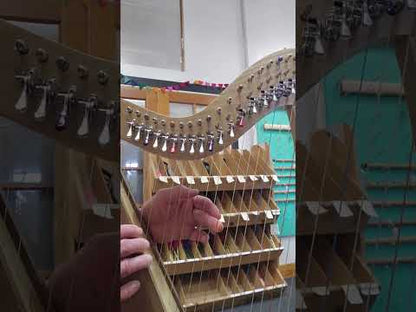 22 String Lever Harp, 2-tone Ash/Walnut