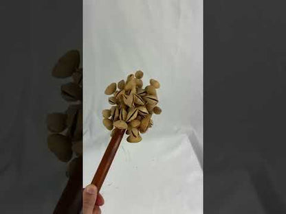 ケナリ ナッツスティックシェイカー