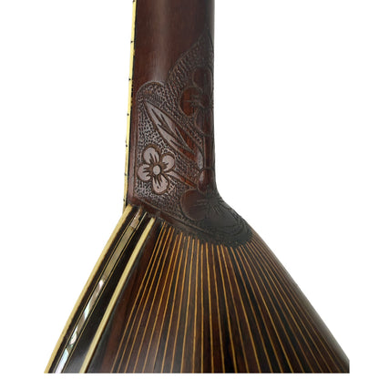 Acme Special Bowl Back Mandolin Late 1800s Stewart & Bauer