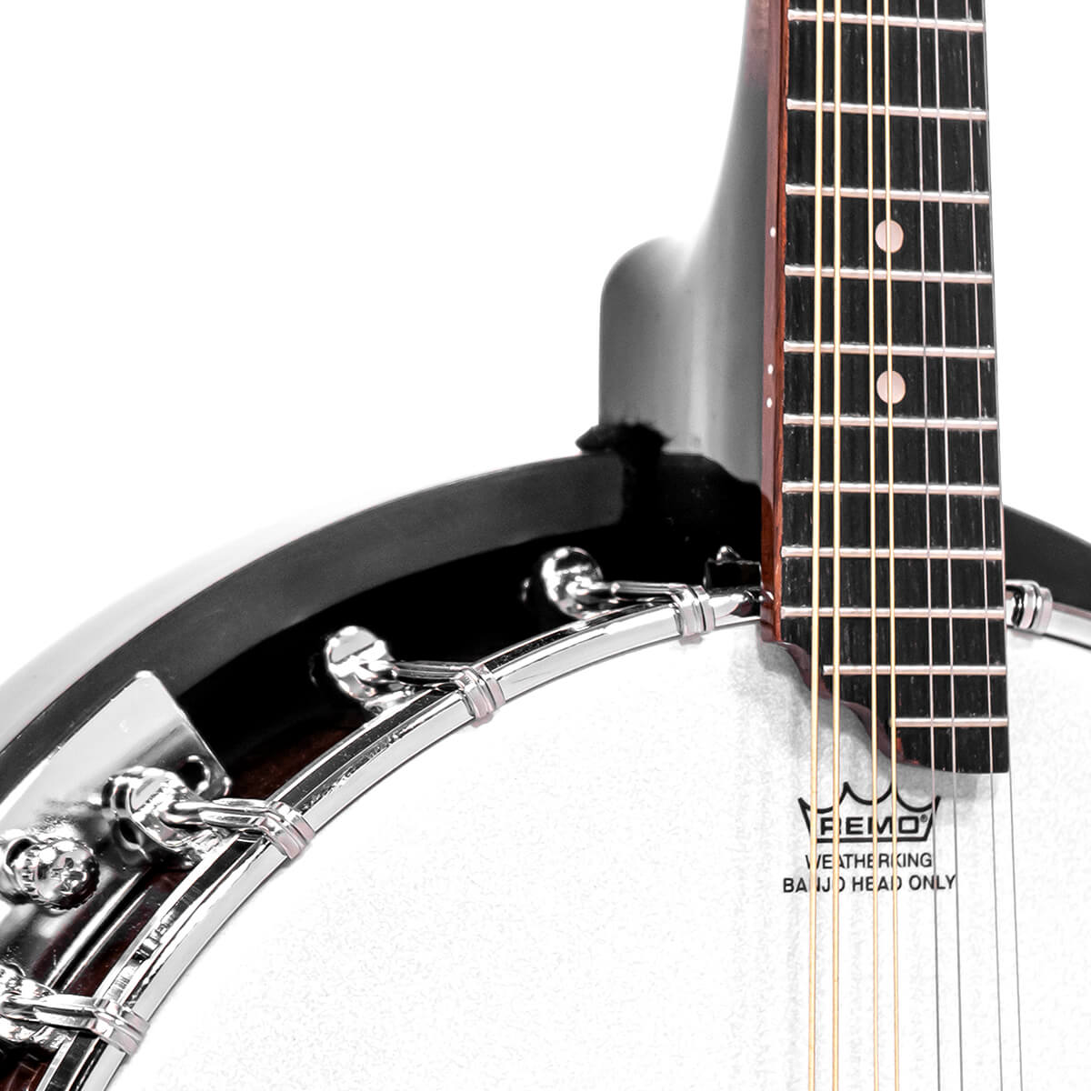 Gold Tone Mandolin Banjo (Banjolin) - Lark in the Morning