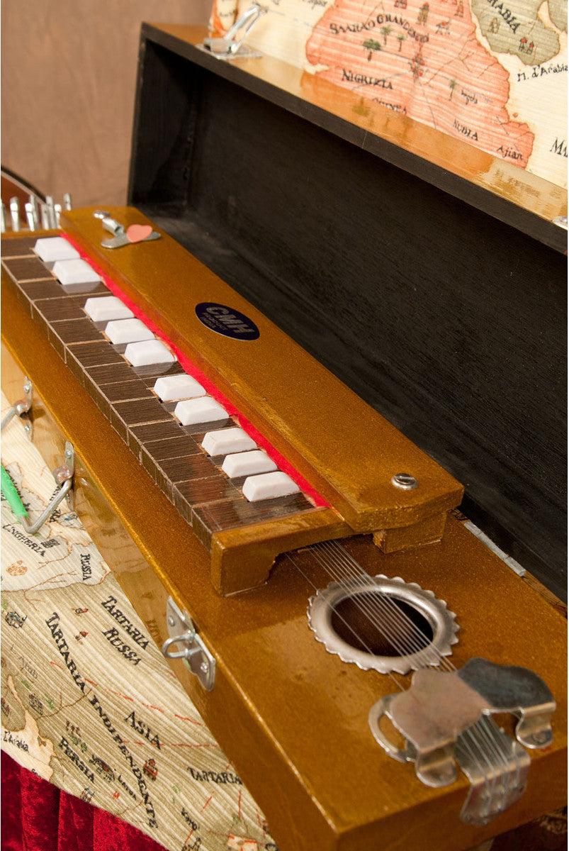 Banjo Instrument
