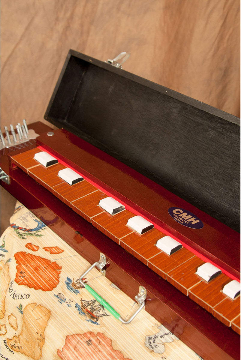Bulbul Tarang Musical Instrument