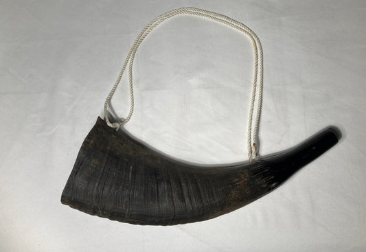 Buffalo Natural Horn Medium, with rope Horns Lark in the Morning   
