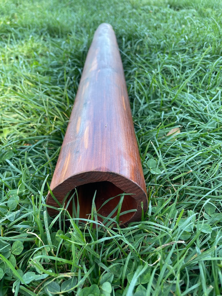 Cedar Travel-size Didgeridoo by Marko Johnson Didgeridoos Lark in the Morning   
