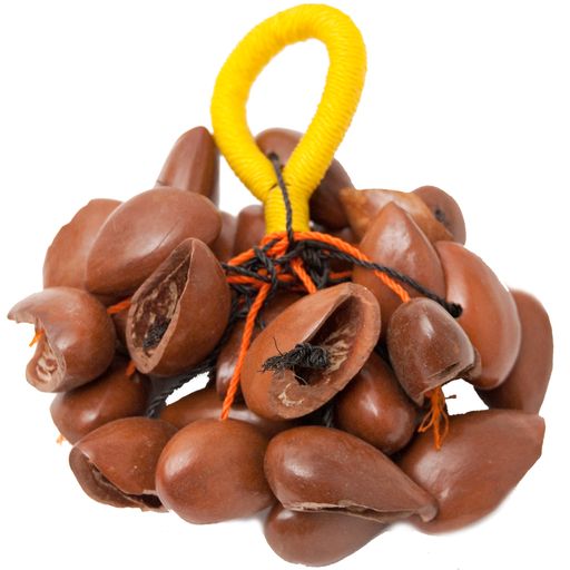 Ekpiri Seed Rattle -Medium, 30 Seed – Lark in the Morning