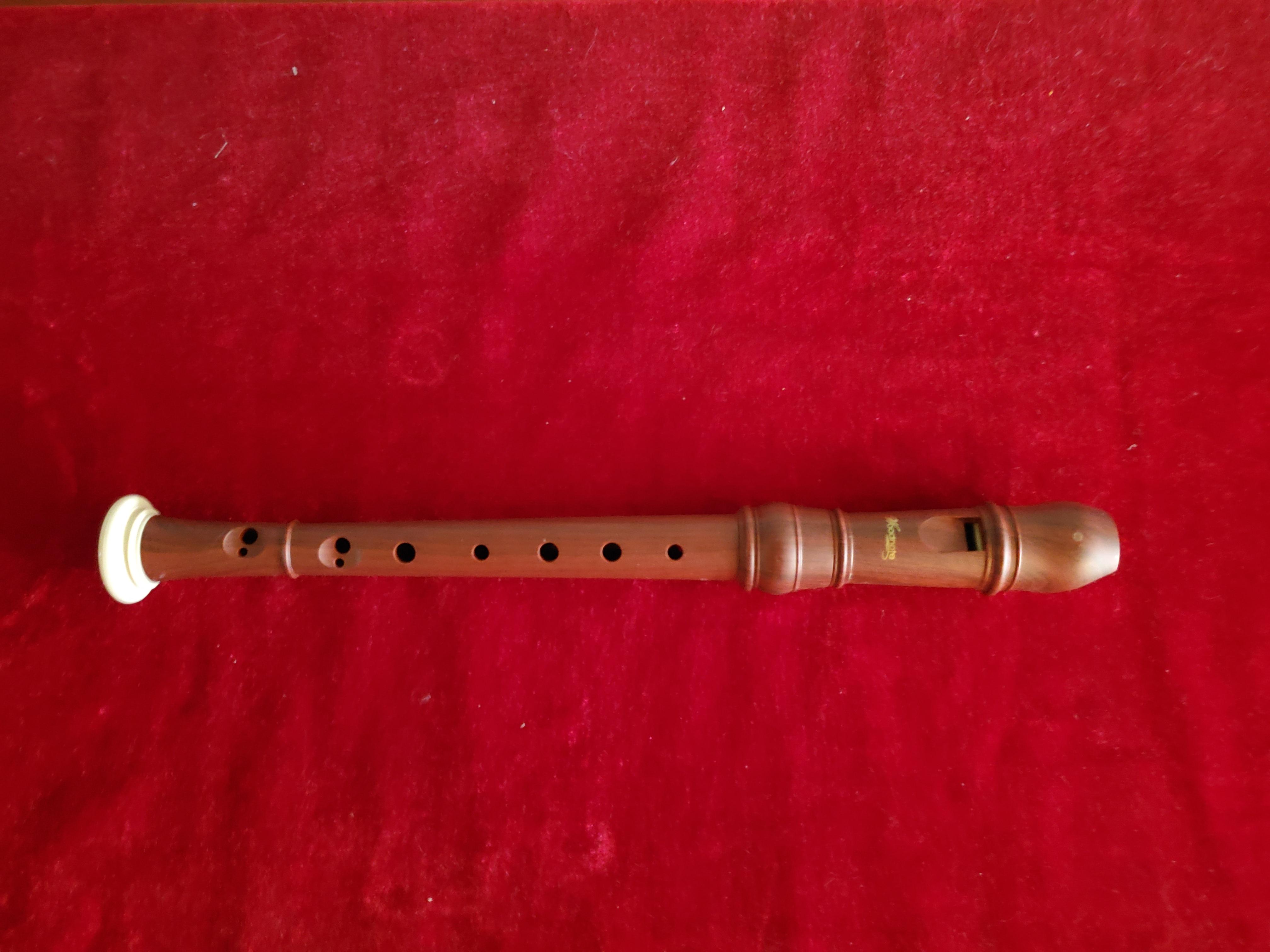 Recorder Instrument