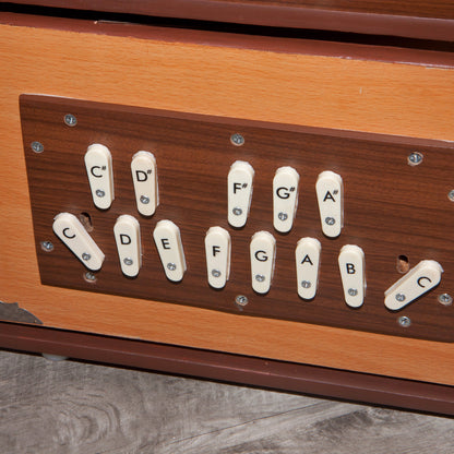 Banjira Deluxe Shruti Box w/ Side Controls 3C-4C Shruti Boxes banjira   