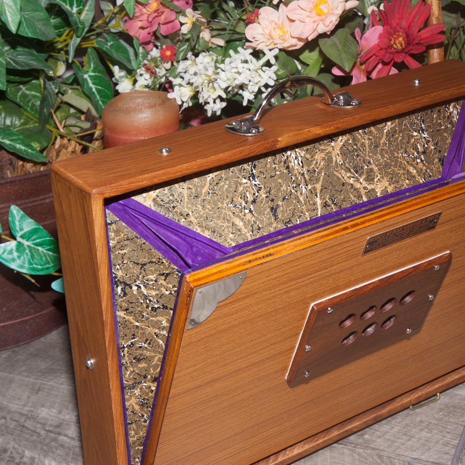 Shruti Boxes Lark in the Morning