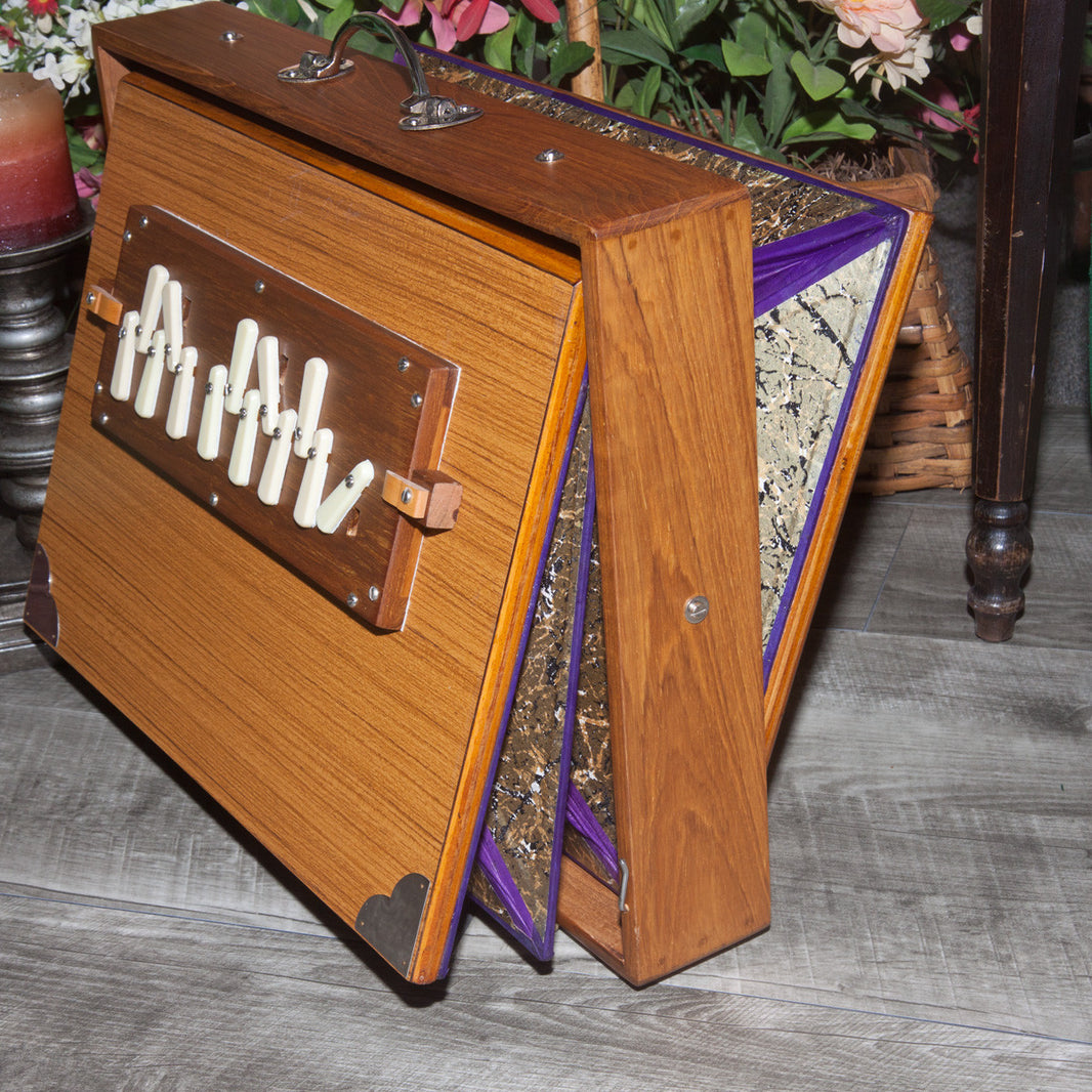 Shruti Boxes Lark in the Morning