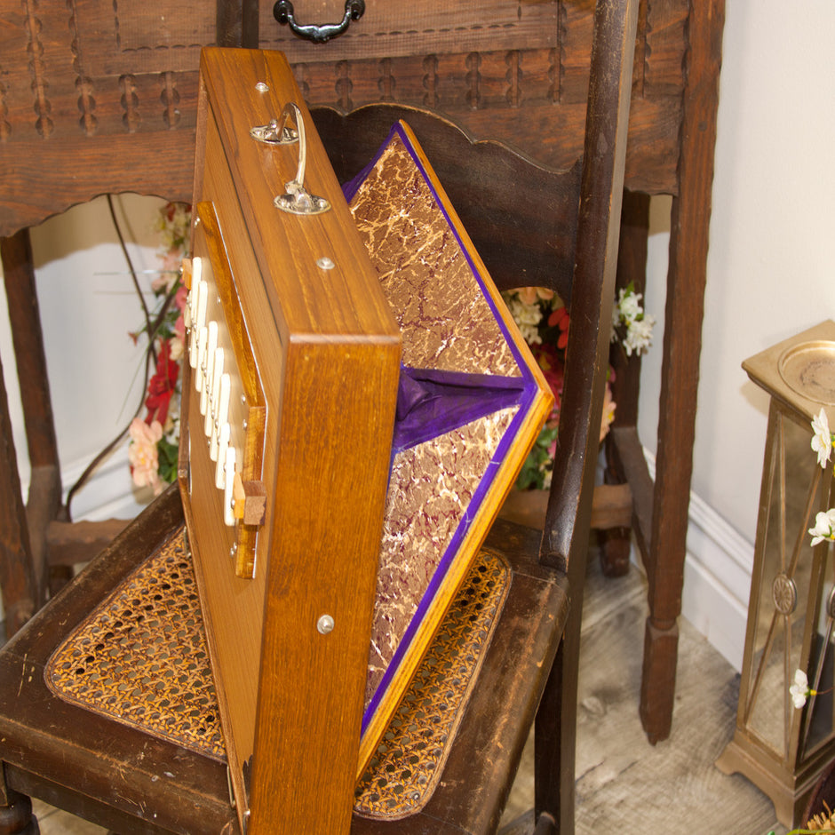 Shruti Boxes Lark in the Morning