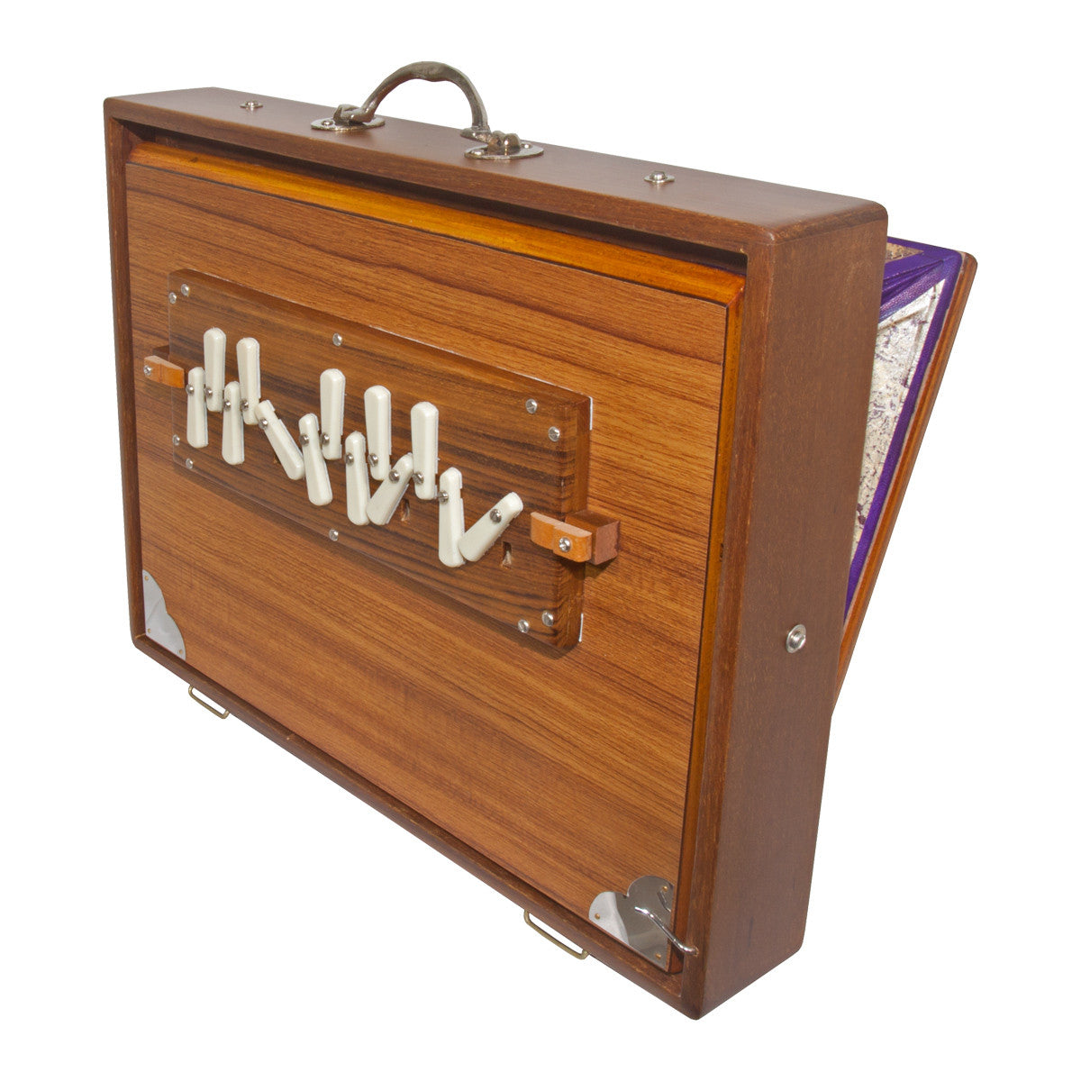 Shruti Boxes Lark in the Morning