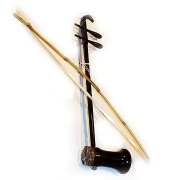 Dan Nhi 2 String Fiddle – Lark in the Morning