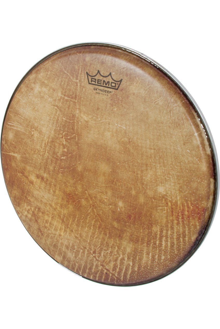 Remo Skyndeep Clear Tone R Series Doumbek Head 12-Inch Diameter 3/8-Inch Collar - Fish Skin Graphic Drum Skins Remo   