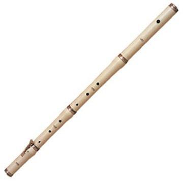 Aulos Stanesby Baroque Flute, with hard case Flutes Lark in the Morning   
