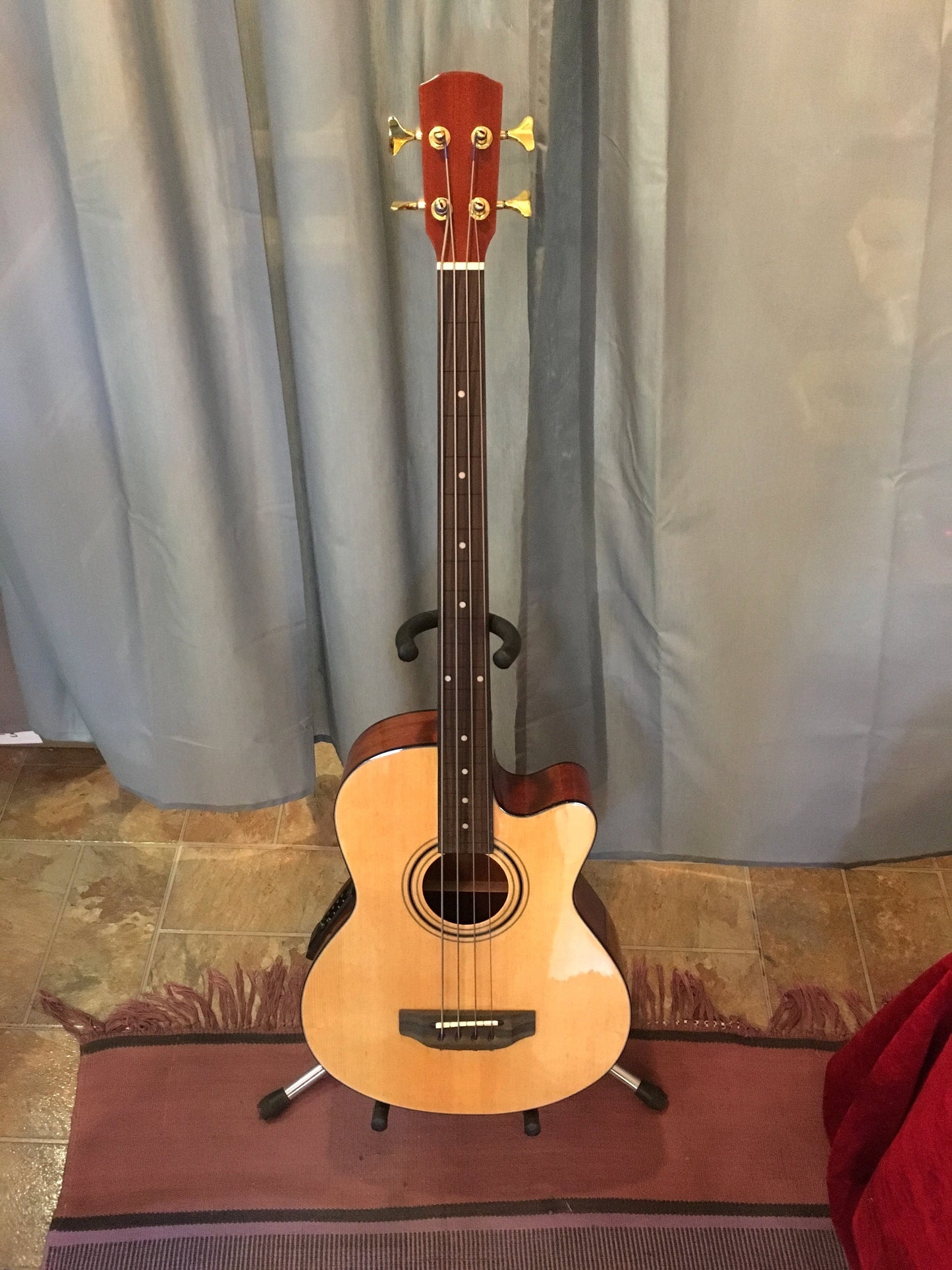 Fretless Acoustic Bass Guitar with Electronics Guitars Lark in the Morning   