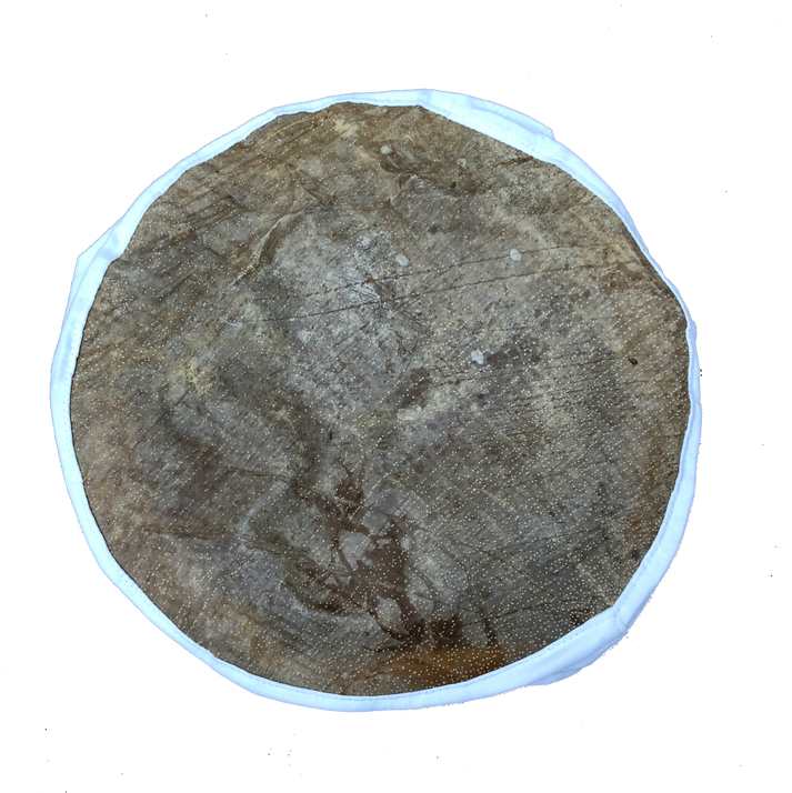 Fish Skin Drum Head, 10” Lark in the Morning