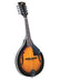 Rover RM-25 A-Model Mandolin - Sunburst – Lark in the Morning