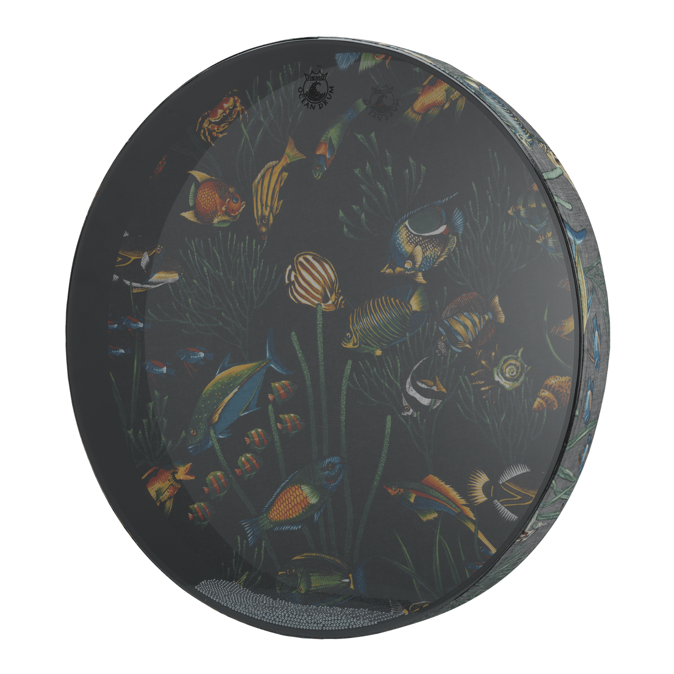Remo Ocean Drum, 22" Diameter, 2 1/2" Depth, Fish Graphic Lark in the